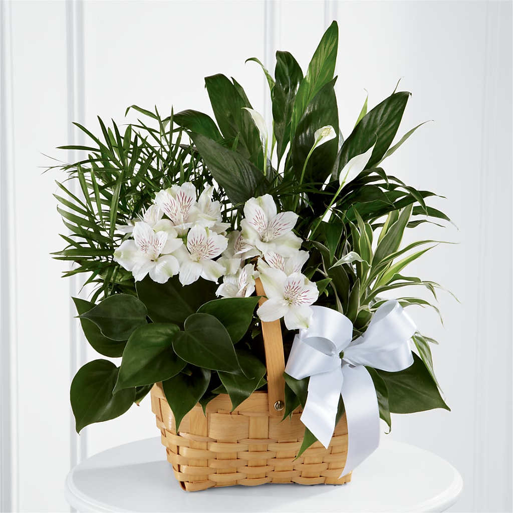 Peace & Serenity Dishgarden – Floral Creations, Mcadoo PA