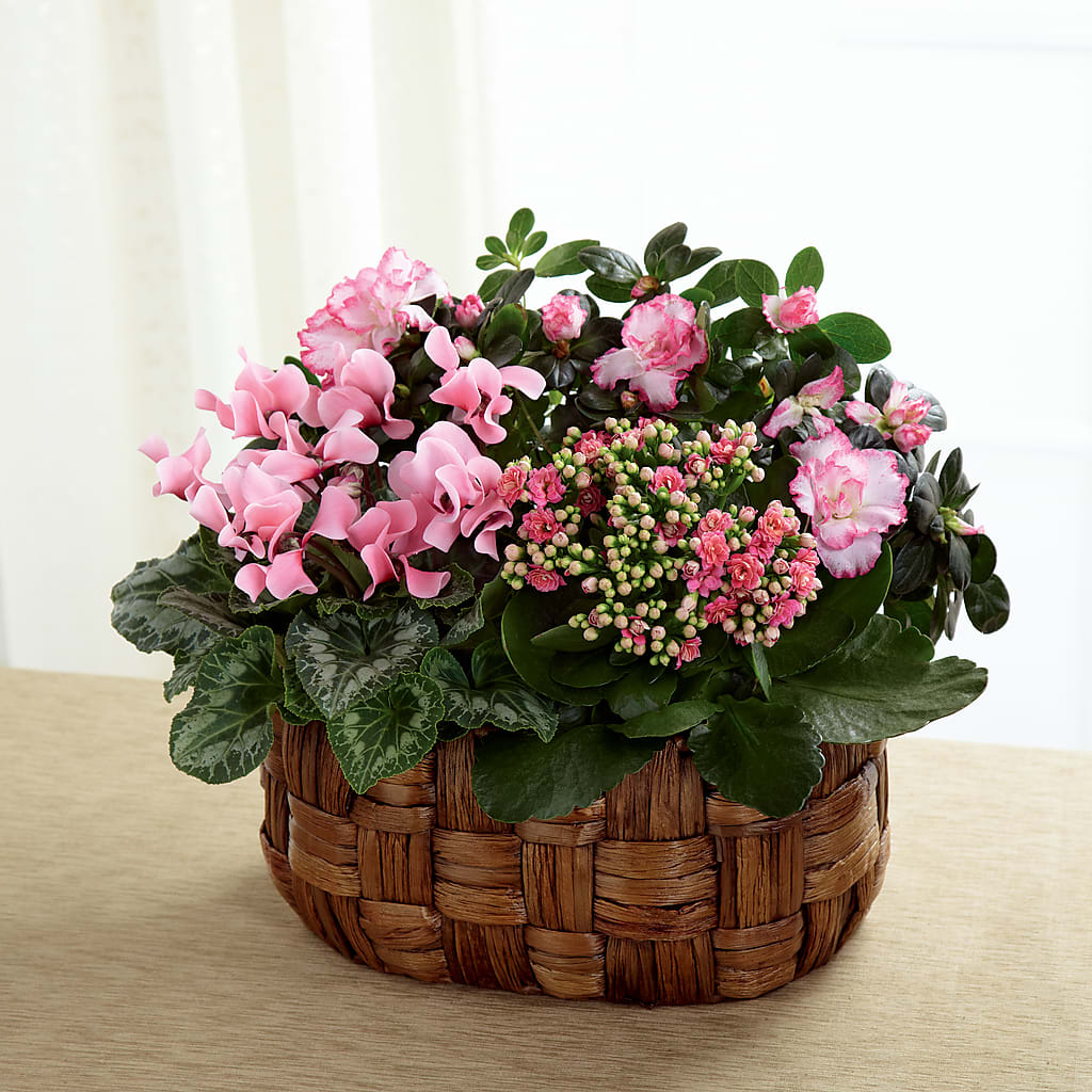 Pink Assortment – Floral Creations, Mcadoo PA