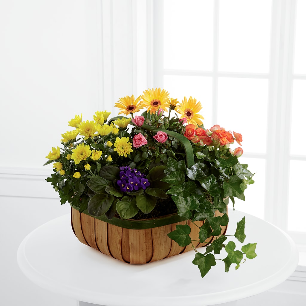 Gentle Blossoms Basket – Floral Creations, Mcadoo PA