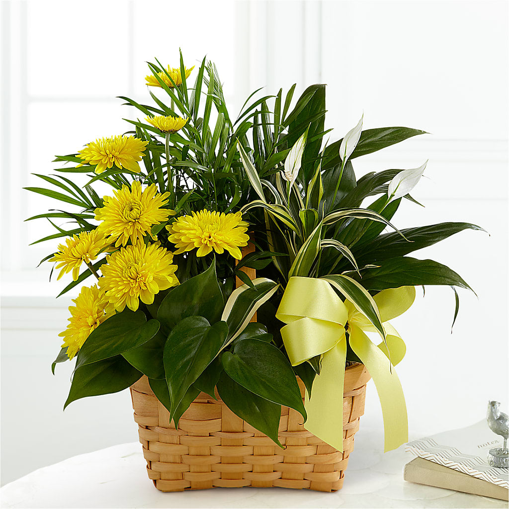 Loving Light Dishgarden – Floral Creations, Mcadoo PA