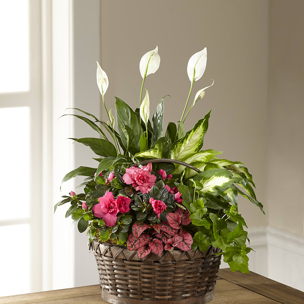 Dream in Pink Dishgarden – Floral Creations, Mcadoo PA