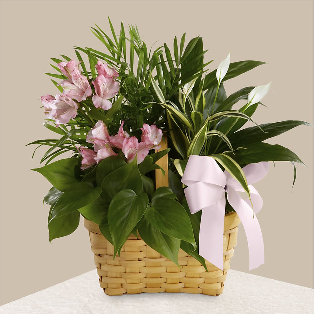 Living Spirit Dishgarden – Floral Creations, Mcadoo PA
