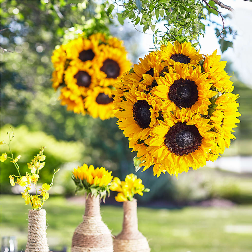 Sublime Garden Hanging Arrangement – Floral Creations, Mcadoo PA