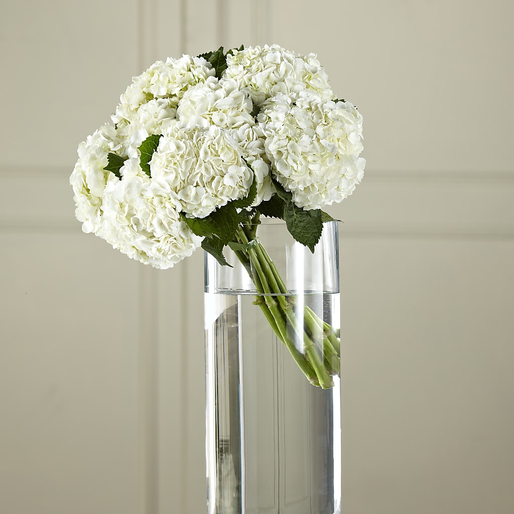 White Hydrangea Hand-Tied Bouquet – Floral Creations, Mcadoo PA