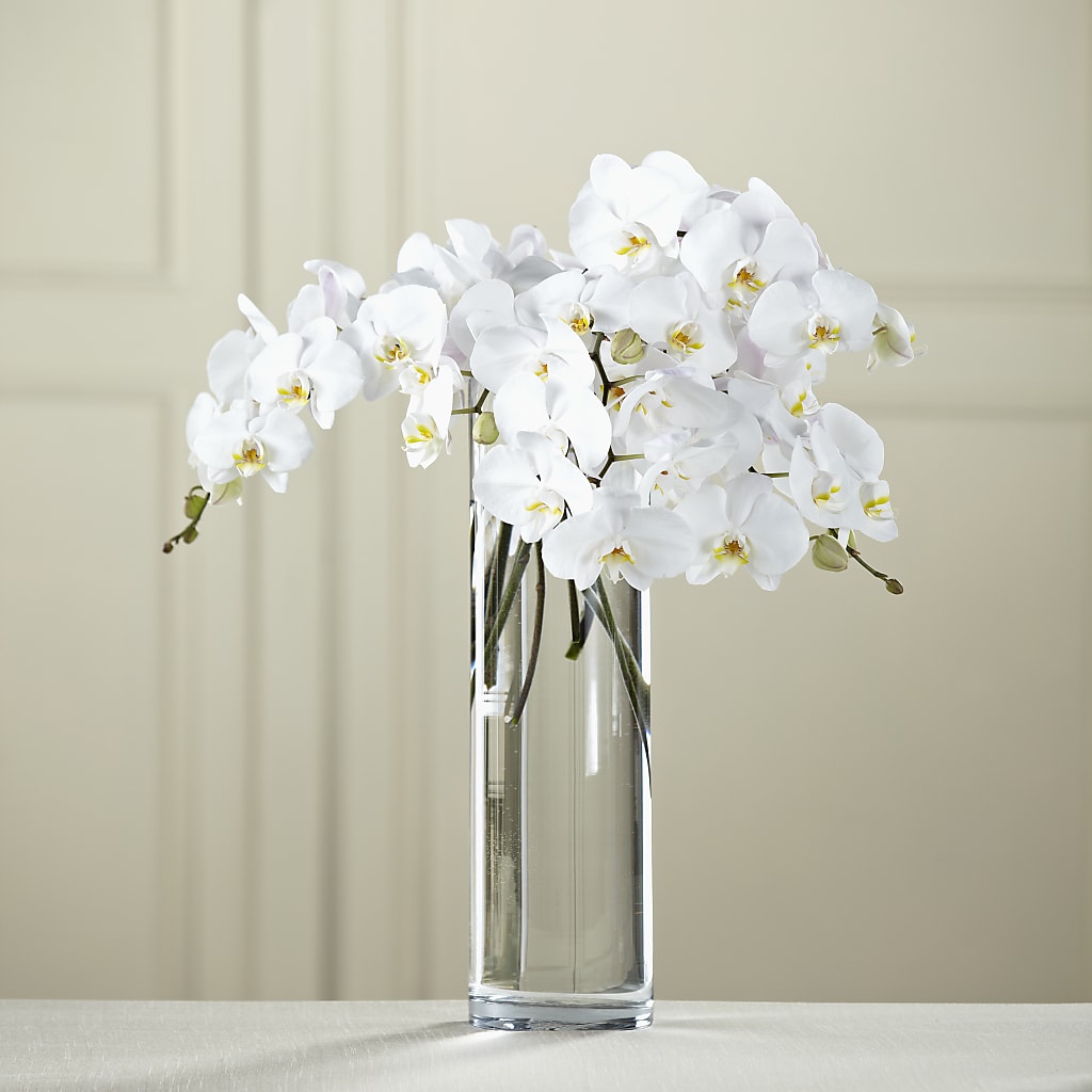 White Phalaenopsis Bouquet – Floral Creations, Mcadoo PA