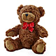 Adorable Plush Bear –  Floral Creations, Mcadoo PA