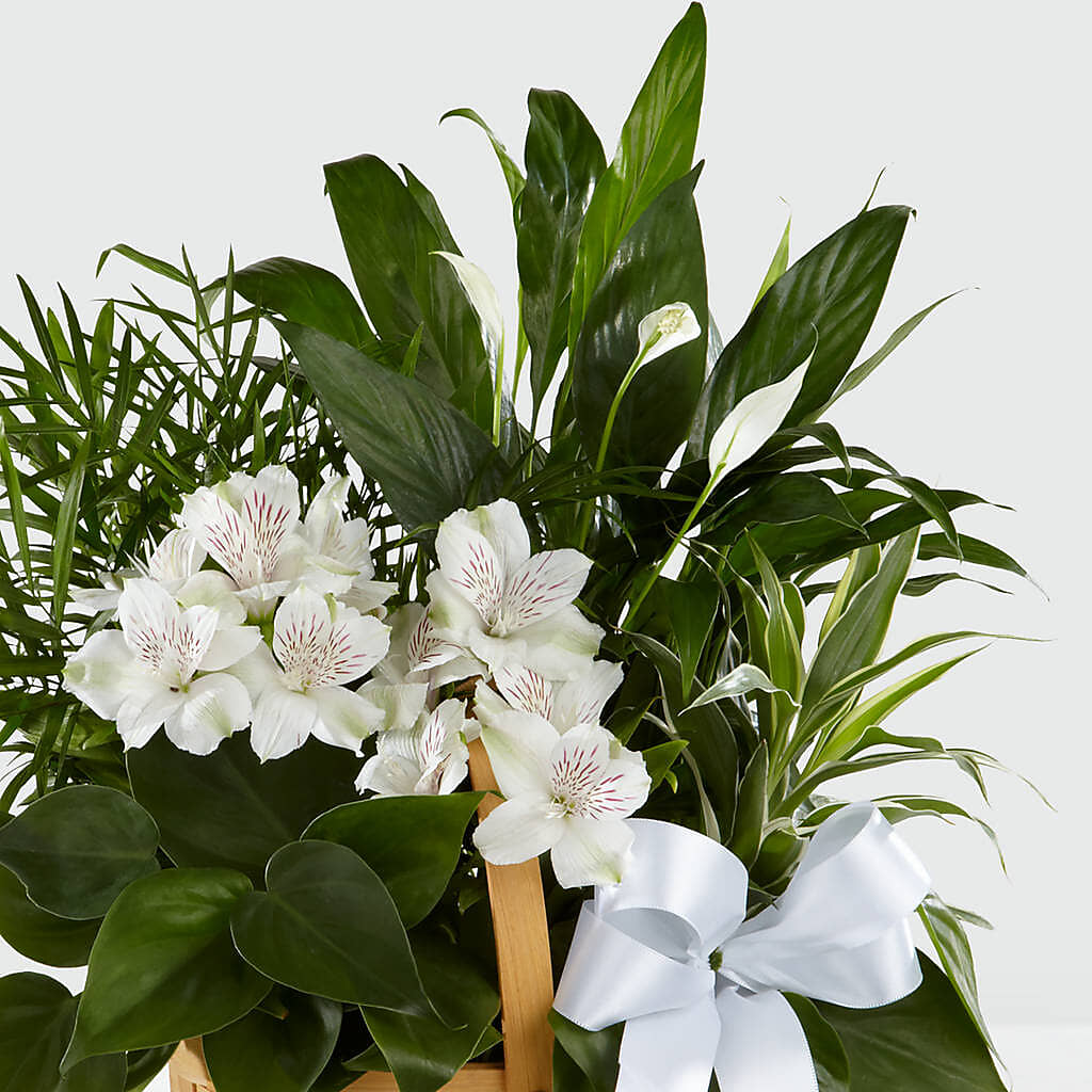Peace & Serenity Dishgarden –  Floral Creations, Mcadoo PA