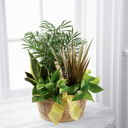 French Garden –  Floral Creations, Mcadoo PA