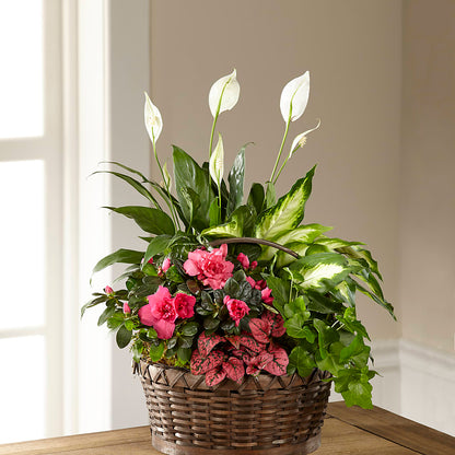 Dream in Pink Dishgarden –  Floral Creations, Mcadoo PA