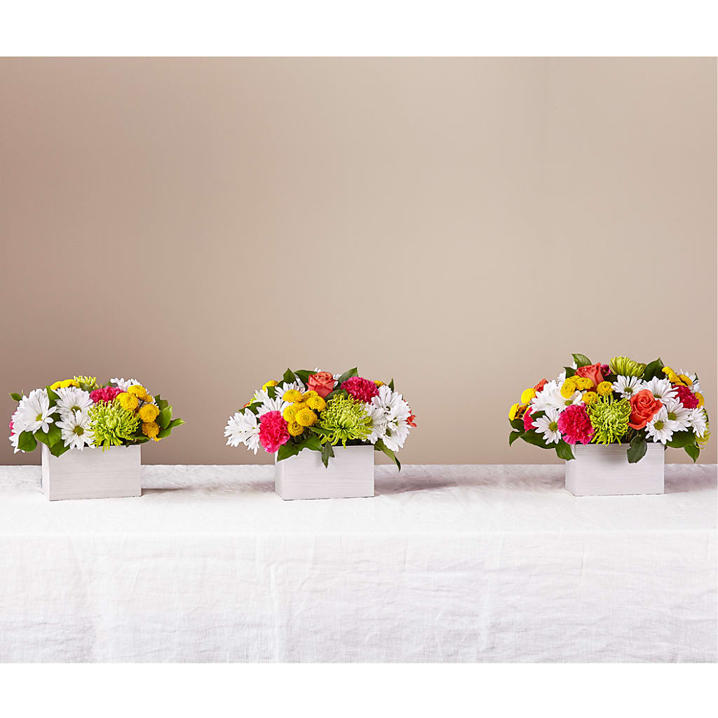 Sorbet Bouquet –  Floral Creations, Mcadoo PA