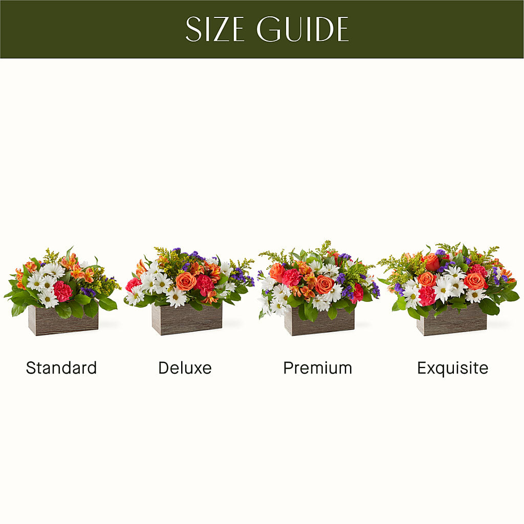 Oopsie Daisy Box Bouquet –  Floral Creations, Mcadoo PA