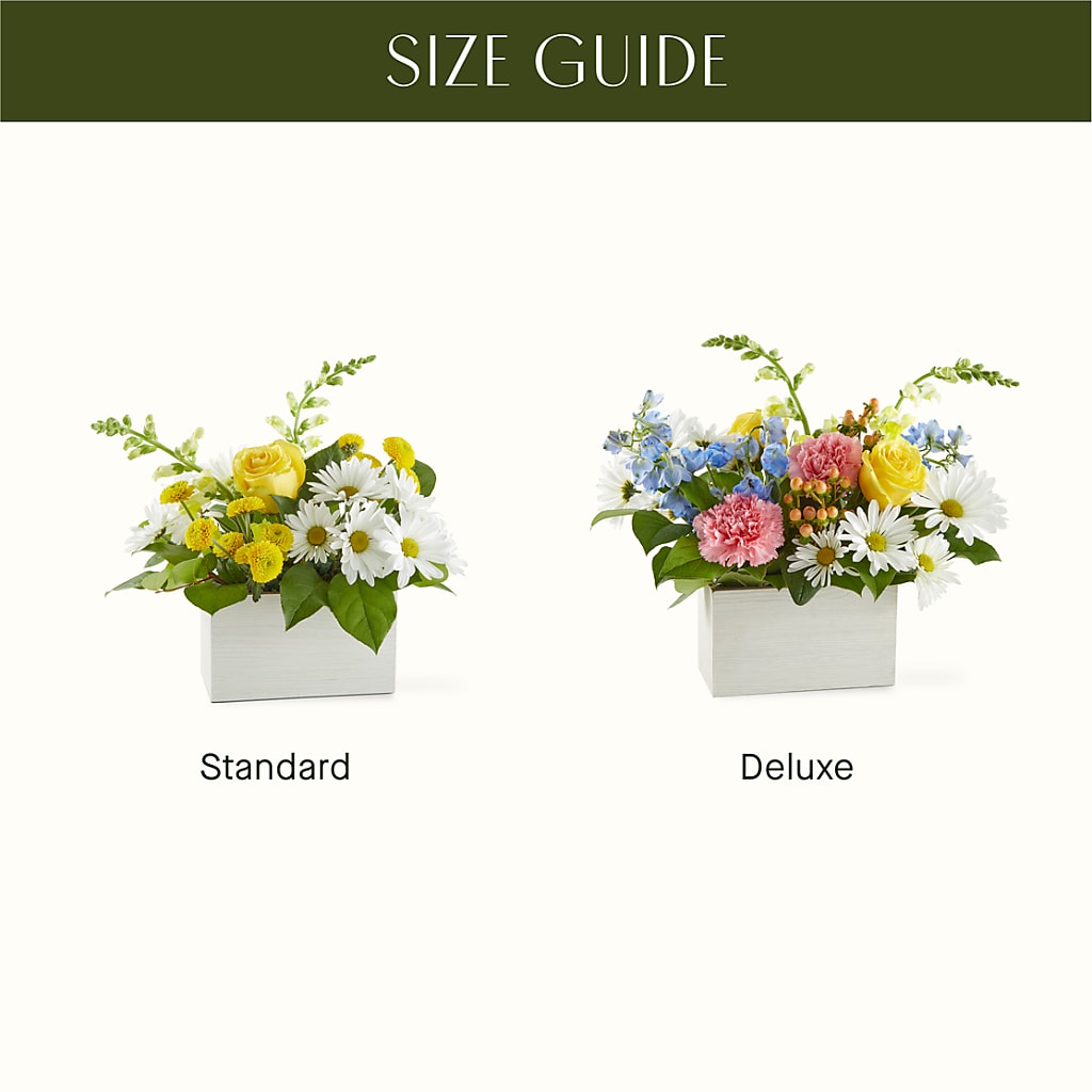 Sun Salutation Box Bouquet –  Floral Creations, Mcadoo PA