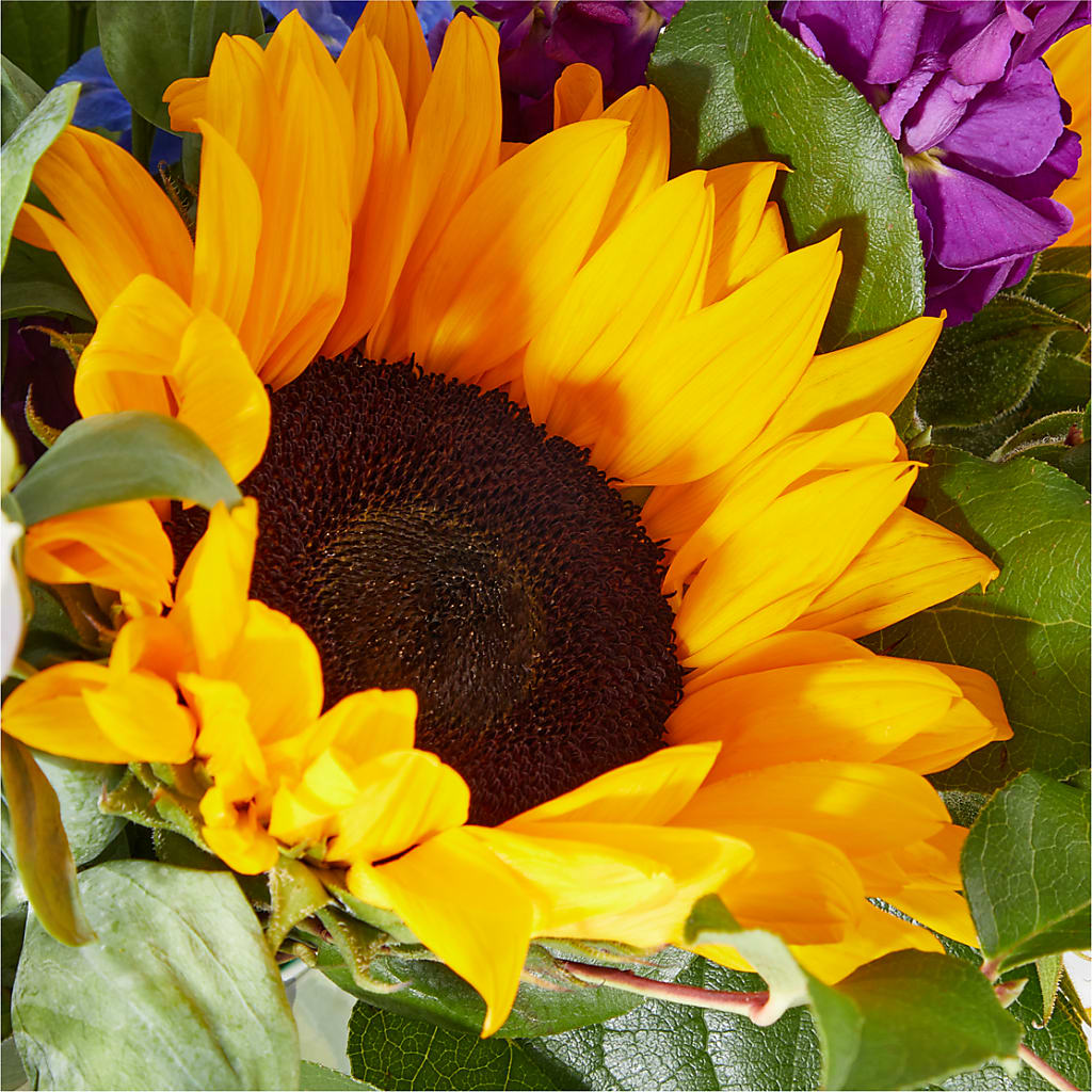 Catching Rays Bouquet –  Floral Creations, Mcadoo PA