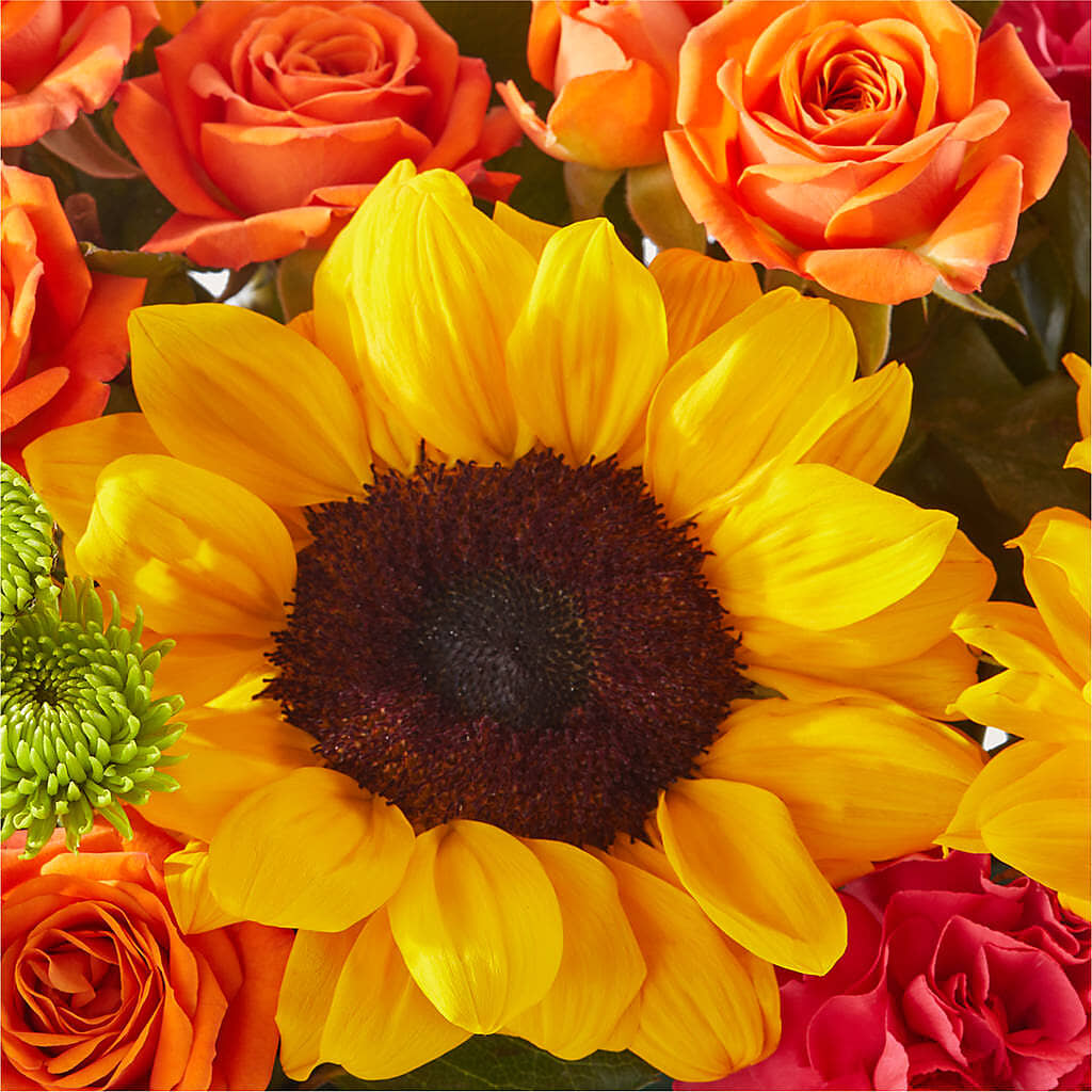 Sun-drenched Blooms Box Bouquet –  Floral Creations, Mcadoo PA