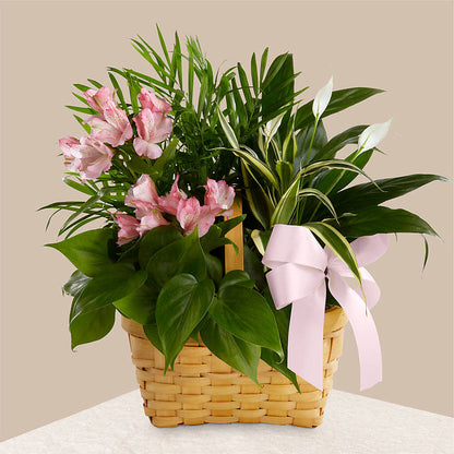 Living Spirit Dishgarden –  Floral Creations, Mcadoo PA