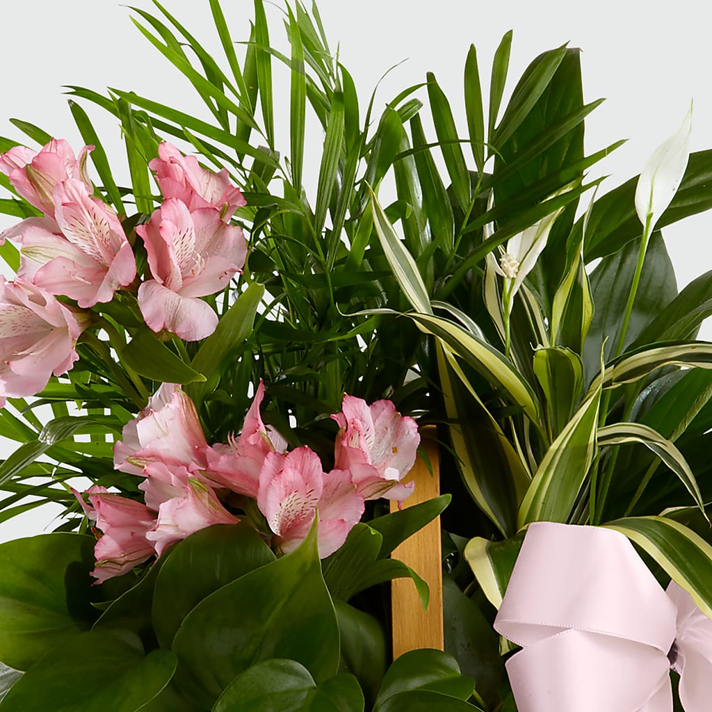 Living Spirit Dishgarden –  Floral Creations, Mcadoo PA