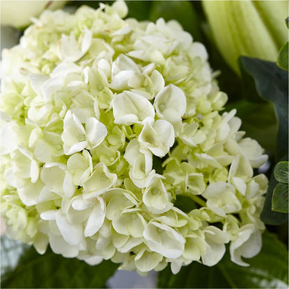 Classic Ivory – A Florist Original –  Floral Creations, Mcadoo PA