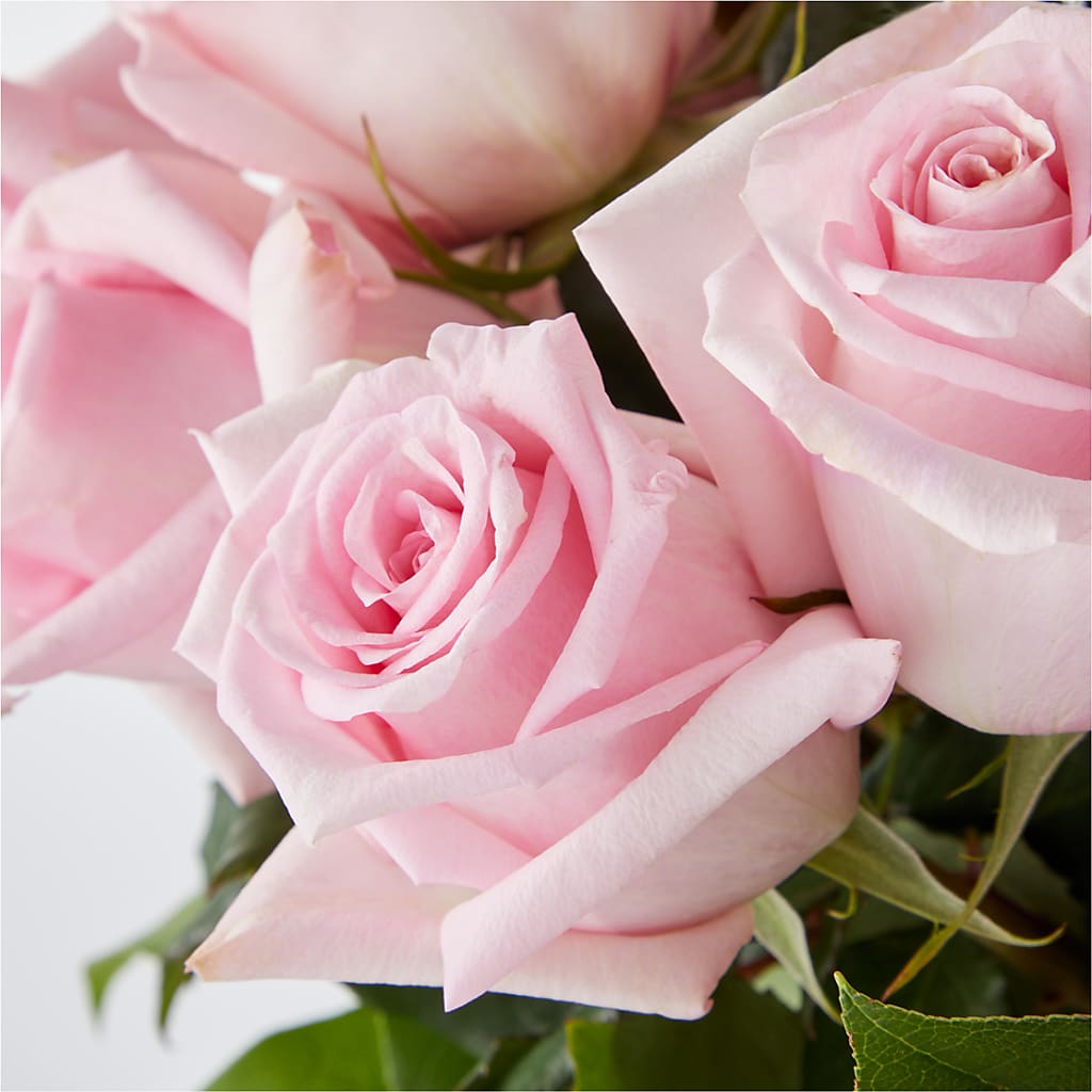 Picture Perfect Pink Rose Bouquet –  Floral Creations, Mcadoo PA