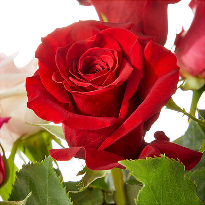 Love Notes Rose Bouquet –  Floral Creations, Mcadoo PA