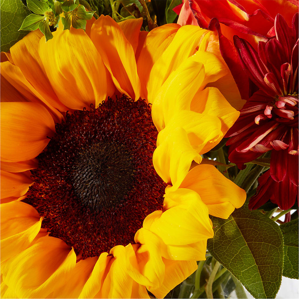 Harvest Festival Bouquet –  Floral Creations, Mcadoo PA