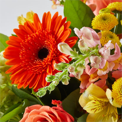 Autumn Sunshine Bouquet –  Floral Creations, Mcadoo PA