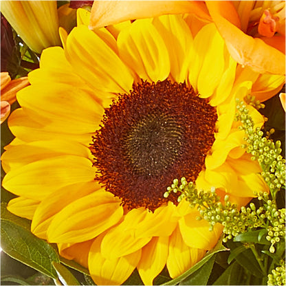 Seasons Change Bouquet –  Floral Creations, Mcadoo PA