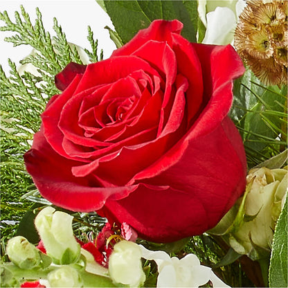 Deck the Halls Bouquet –  Floral Creations, Mcadoo PA