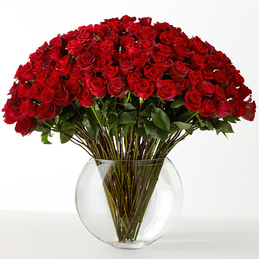 The Idealist –  Floral Creations, Mcadoo PA