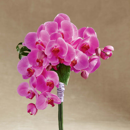 Glorious Bouquet –  Floral Creations, Mcadoo PA