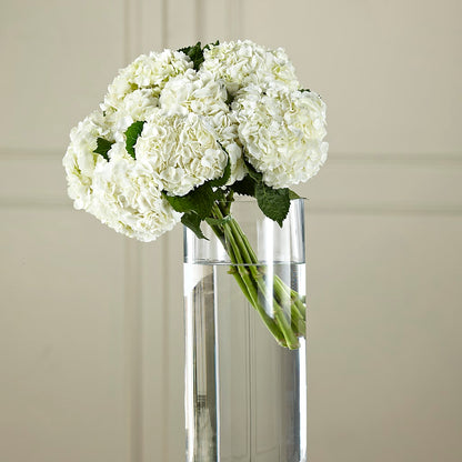White Hydrangea Hand-Tied Bouquet –  Floral Creations, Mcadoo PA