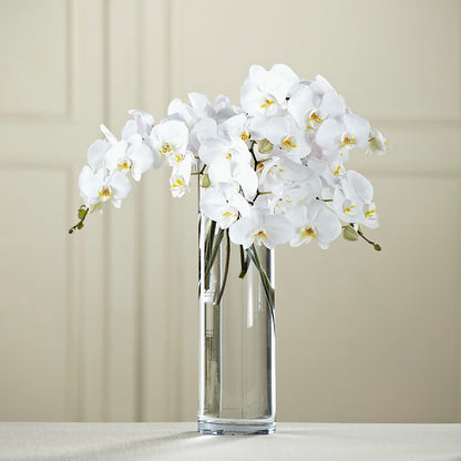 White Phalaenopsis Bouquet –  Floral Creations, Mcadoo PA
