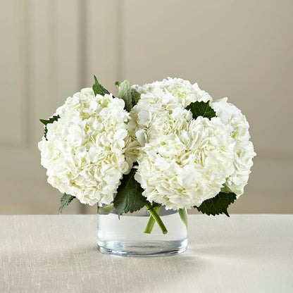 White Hydrangea Bouquet –  Floral Creations, Mcadoo PA